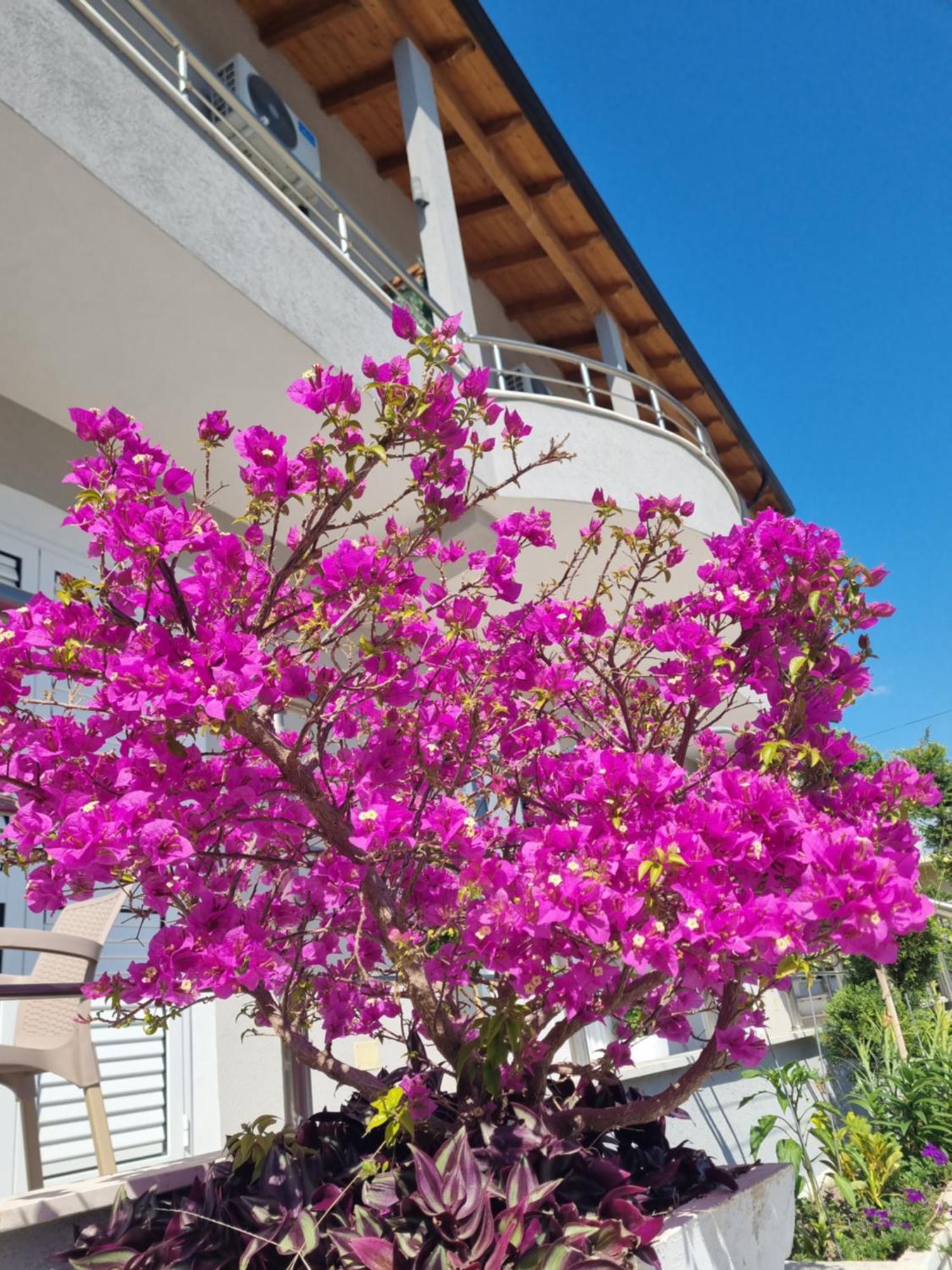 Vlorë Vila Soleil מראה חיצוני תמונה